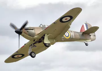 Właściciel drona prawie taranuje rzadki brytyjski ...