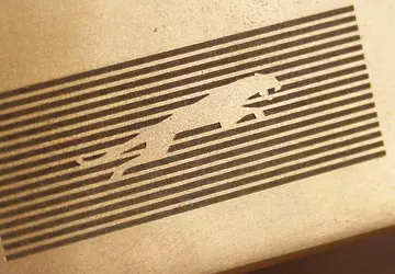 Nowe logo Jaguara: marka przygotowuje się ...