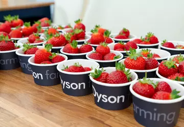 Truskawki, odkurzacze i brytyjski surrealizm — ...