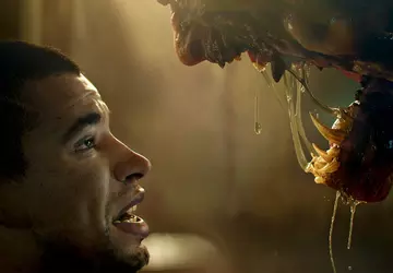 „Koszmar, z którego nie można się ...