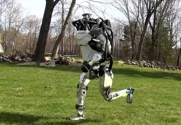 Pies robot Boston Dynamics błąka się ...