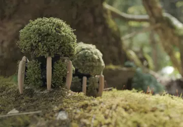 Nocnik z nogami: Panasonic wprowadził eko-robota ...