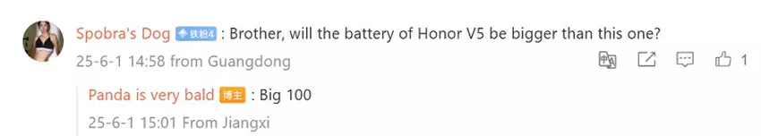 Obraz Honor Magic V5