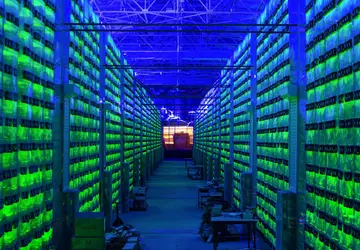 Hiszpańscy policjanci szukali marihuany i znaleźli ...