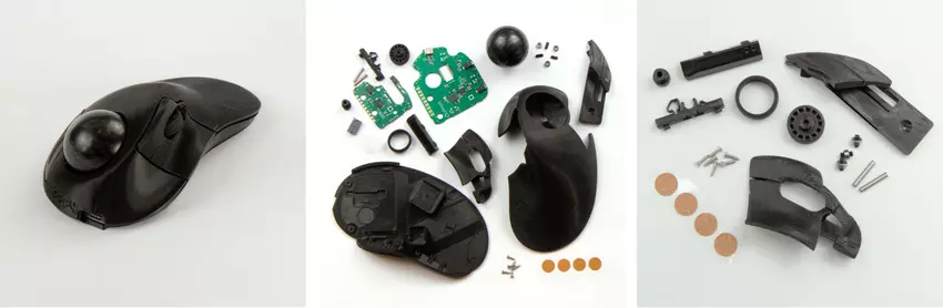 Opis zdjęcia. Ilustracja: Ploopy