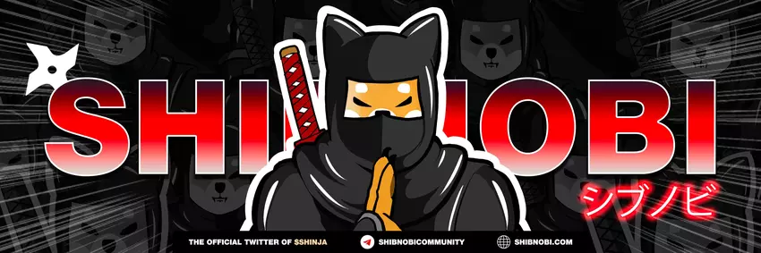 Inwestor zarobił 3 200 000 USD na kryptowalucie memu Shibnoni w ciągu trzech miesięcy – po sprzedaży cena aktywów gwałtownie spadła