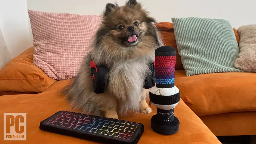 HyperX wprowadza akcesoria gamingowe... dla zwierząt domowych