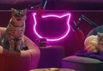 Whiskas uruchomił podcast Purrcast: rozmawiają w ...