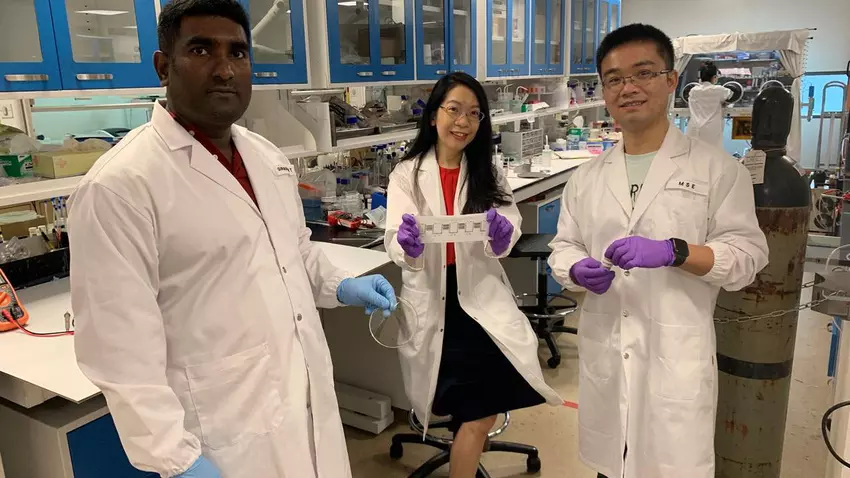 Odkryto elastyczną baterię ładowaną przez pot