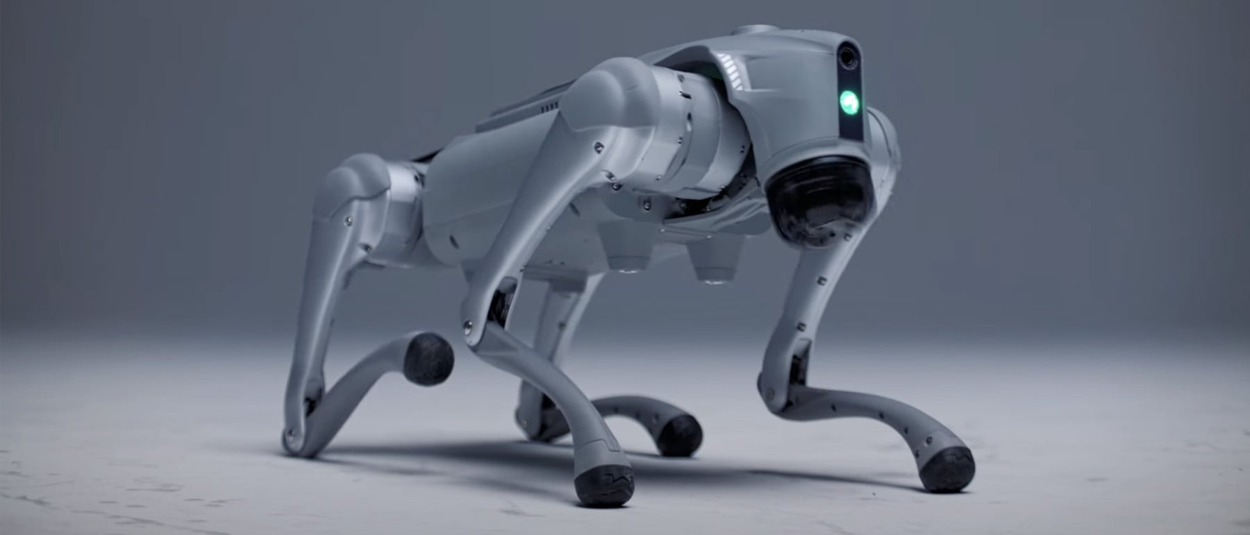 Roboty ze sztuczną inteligencją: jak technologia IntuiCell zmienia zasady gry
