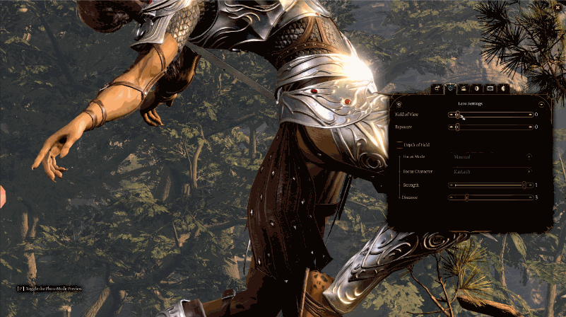 Пример фоторежима в Baldur’s Gate III