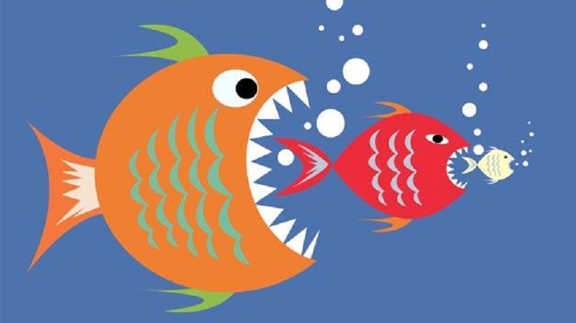 Intel kupić Broadcom.jpg