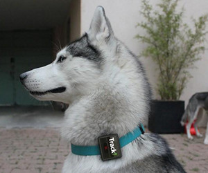 Recenzja Tracki 2020 Model Mini GPS Tracker w czasie rzeczywistym